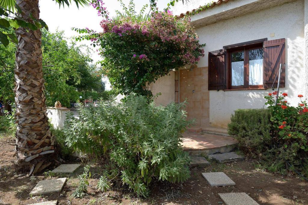 Villa Zahara Рибера Екстериор снимка